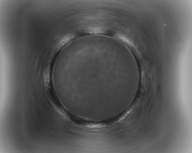 X0000087520202200704271146