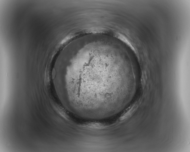 X0000087520203200704271146