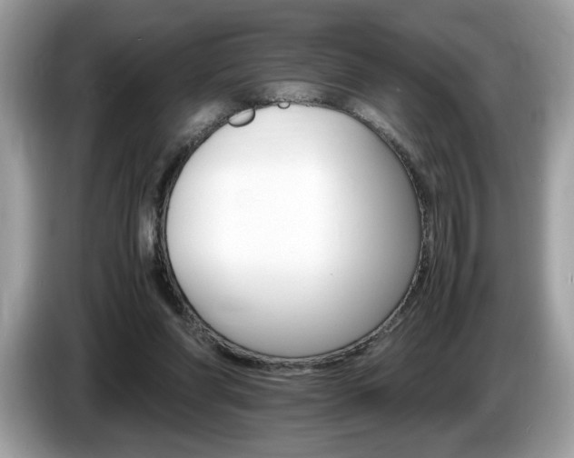 X0000087520206200704271146