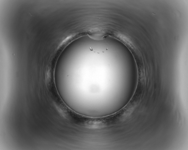 X0000087520208200704271146