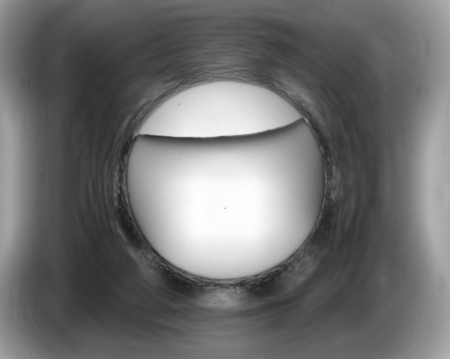 X0000087520210200704271146