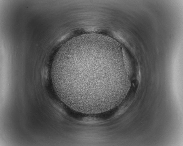 X0000087520211200704271146