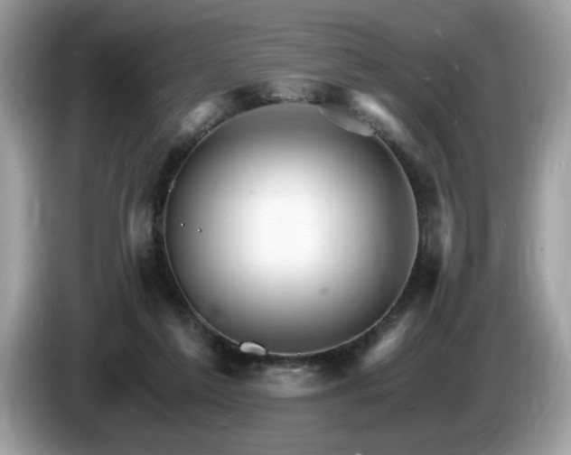X0000087520213200704271146