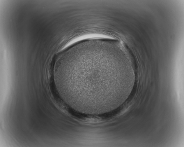X0000087520215200704271146
