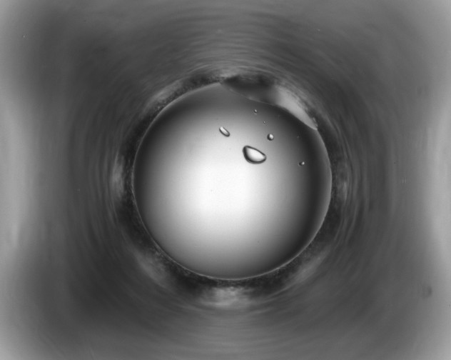 X0000087520216200704271146
