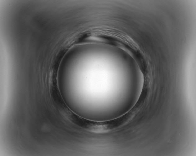 X0000087520217200704271146