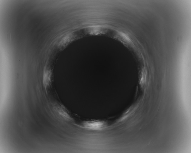 X0000087520219200704271146