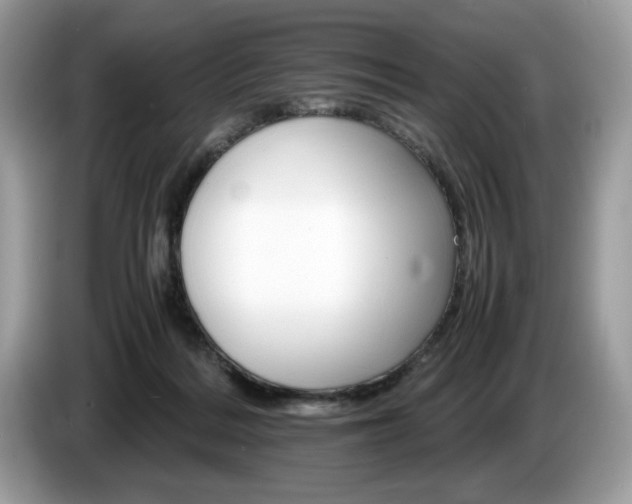 X0000087520220200704271146