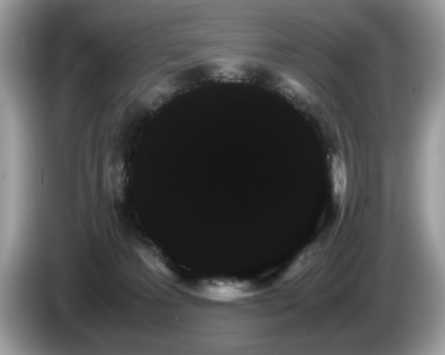 X0000087520223200704271146