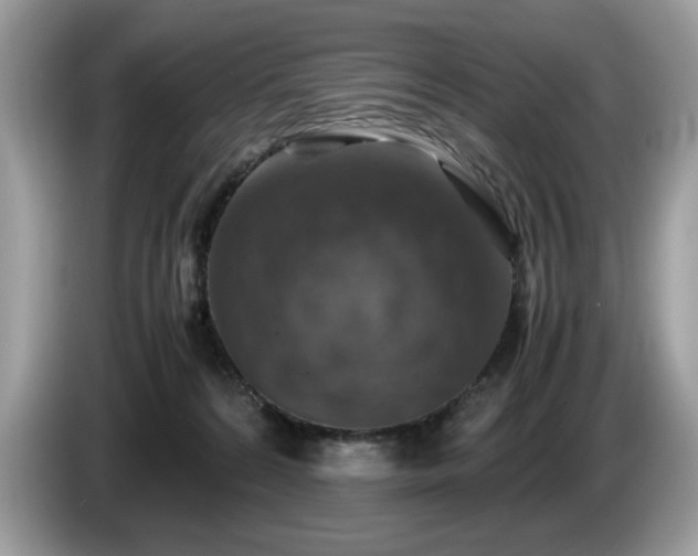 X0000087520224200704271146