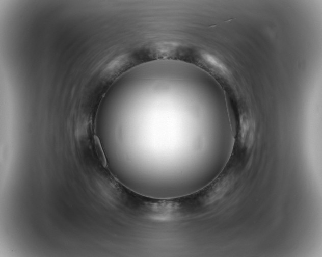 X0000087520225200704271146