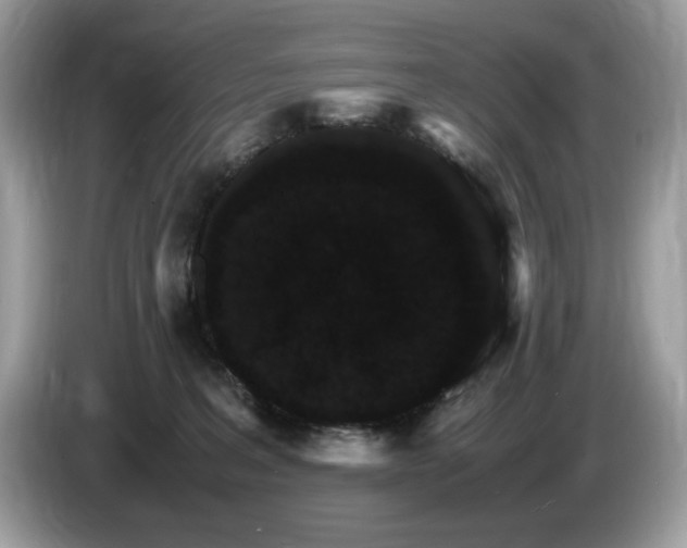 X0000087520227200704271146