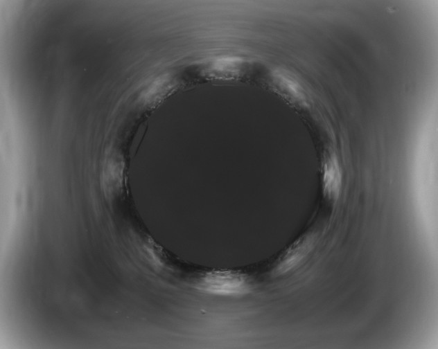 X0000087520231200704271146