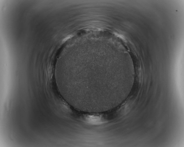 X0000087520232200704271146