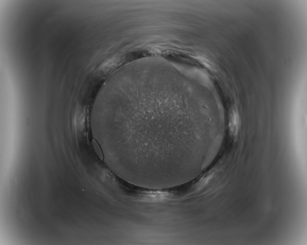 X0000087520233200704271146