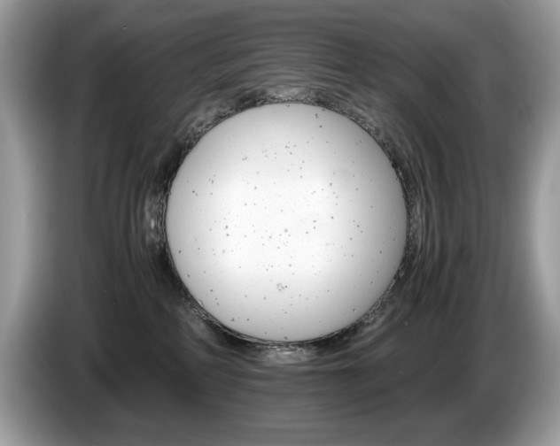 X0000087520234200704271146