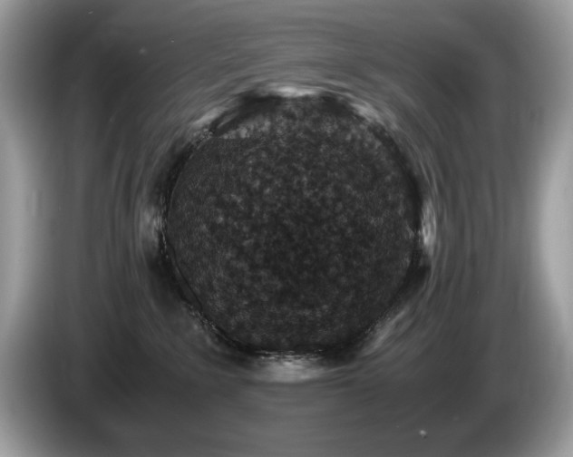 X0000087520235200704271146