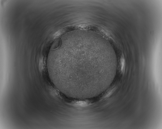 X0000087520236200704271146
