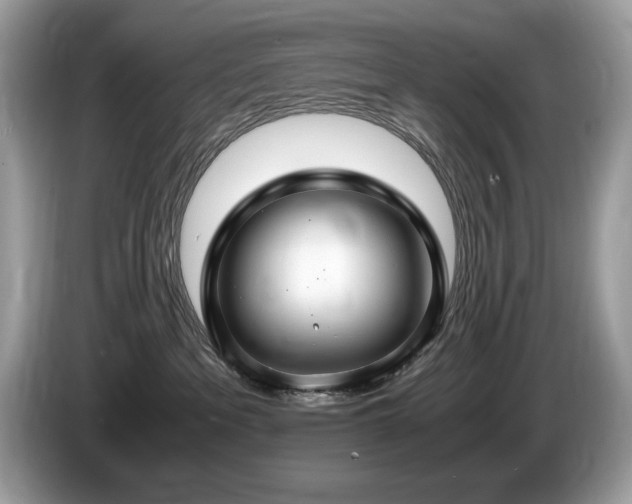 X0000087520237200704271146