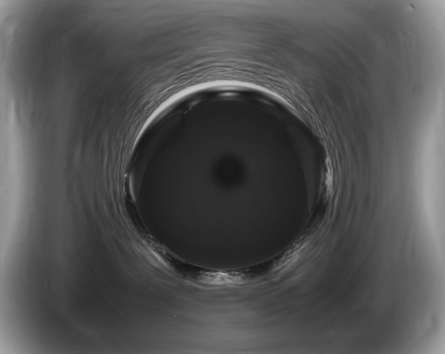 X0000087520239200704271146