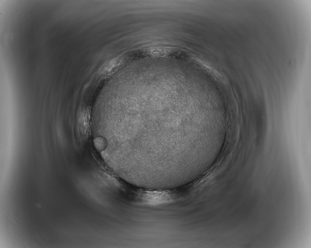 X0000087520240200704271146