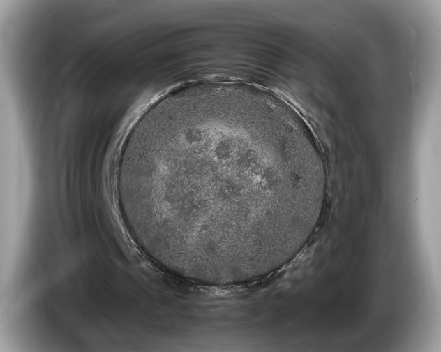 X0000087520241200704271145