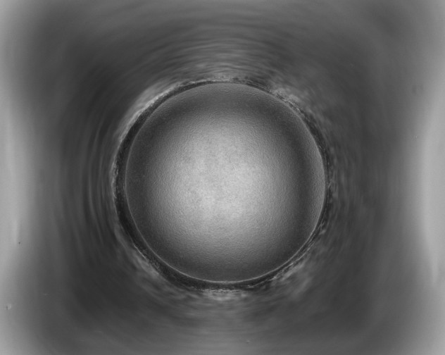 X0000087520242200704271145