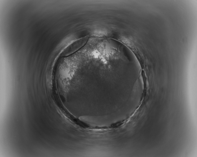 X0000087520243200704271145