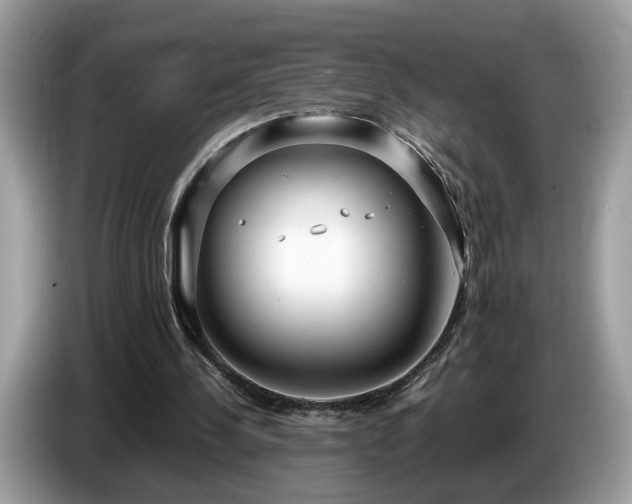 X0000087520244200704271145