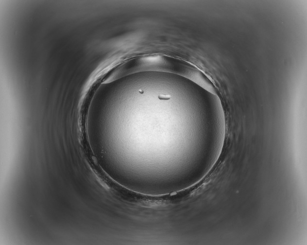 X0000087520245200704271145