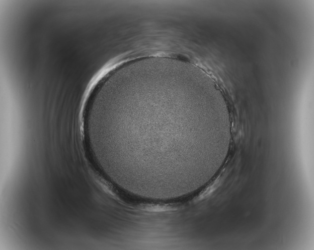 X0000087520246200704271145