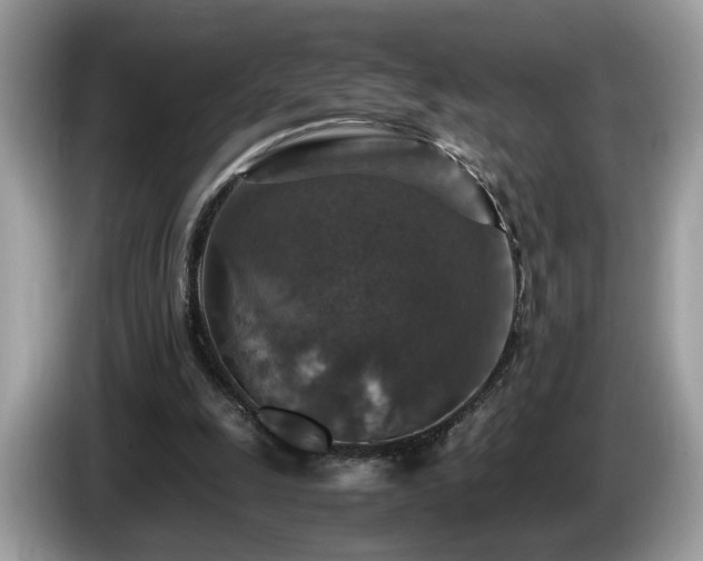 X0000087520247200704271145