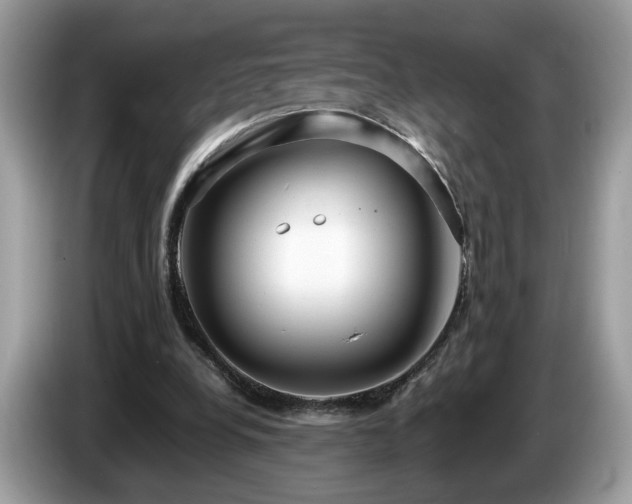 X0000087520248200704271145