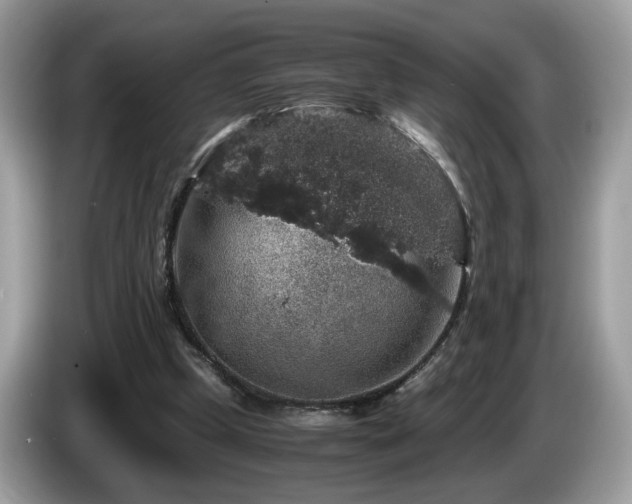 X0000087520249200704271145