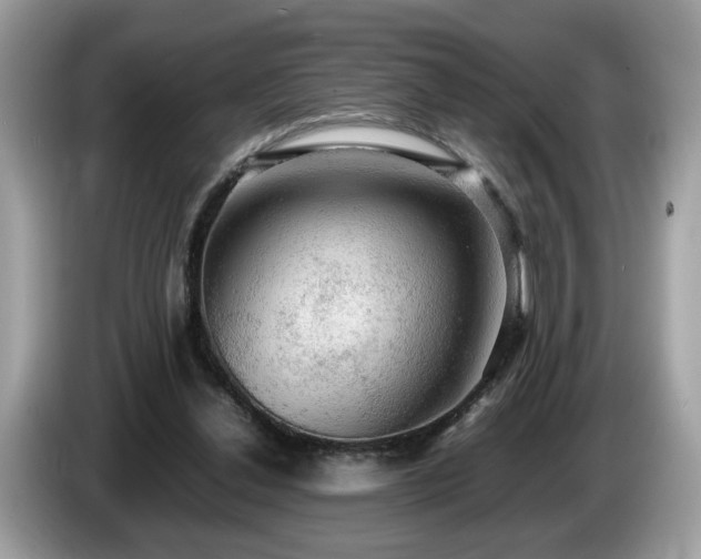 X0000087520252200704271145