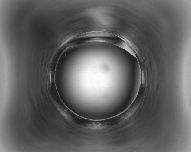 X0000087520253200704271145