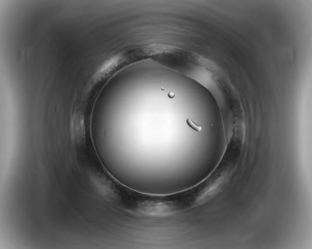X0000087520254200704271145