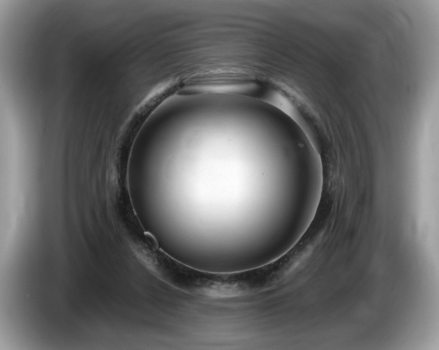 X0000087520256200704271145