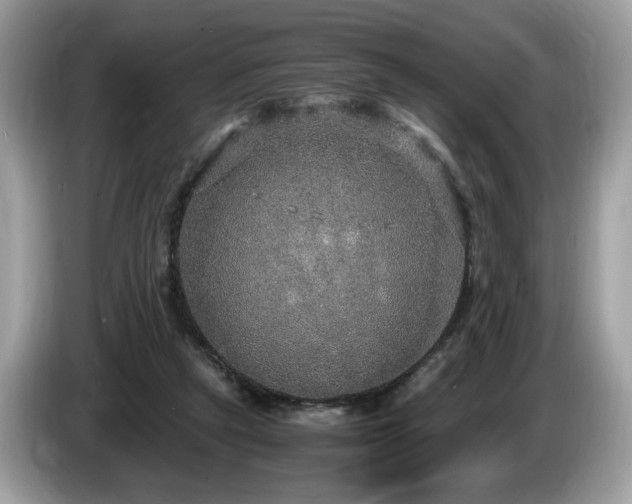 X0000087520257200704271145