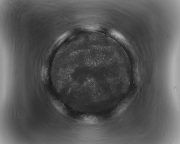 X0000087520258200704271145