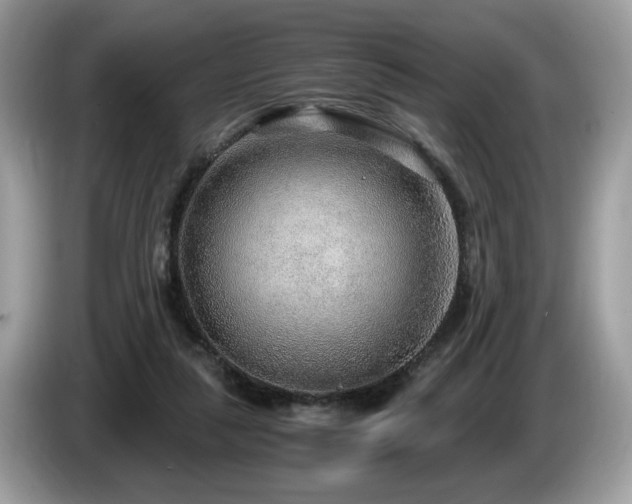X0000087520259200704271145