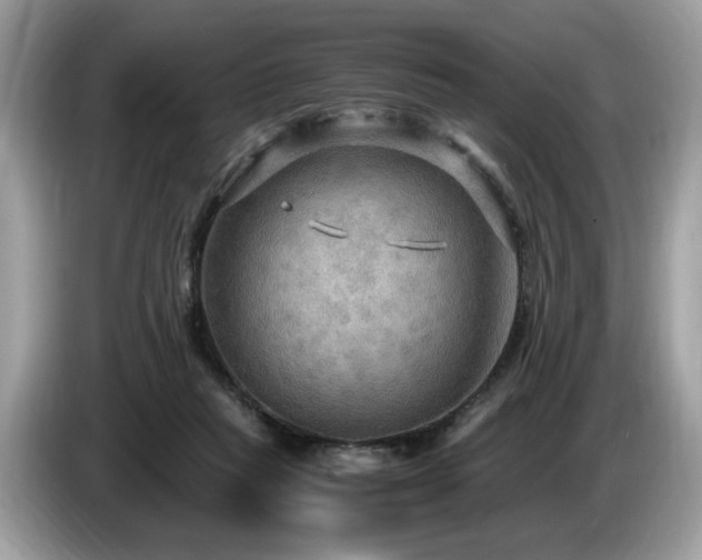 X0000087520261200704271145