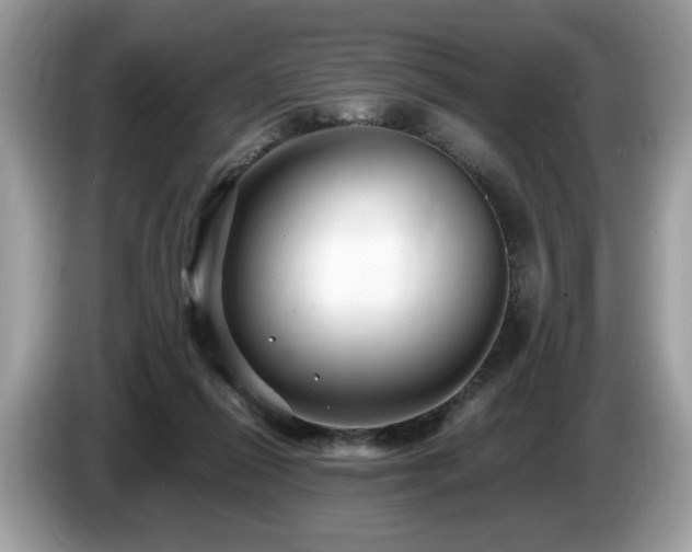 X0000087520262200704271145