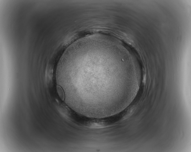 X0000087520263200704271145
