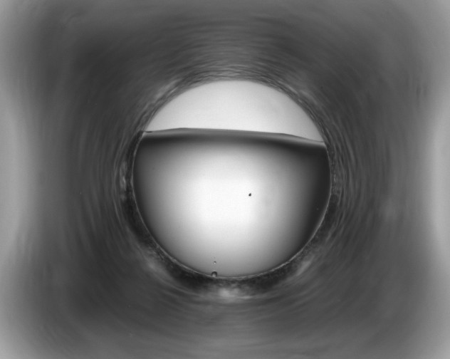 X0000087520264200704271145