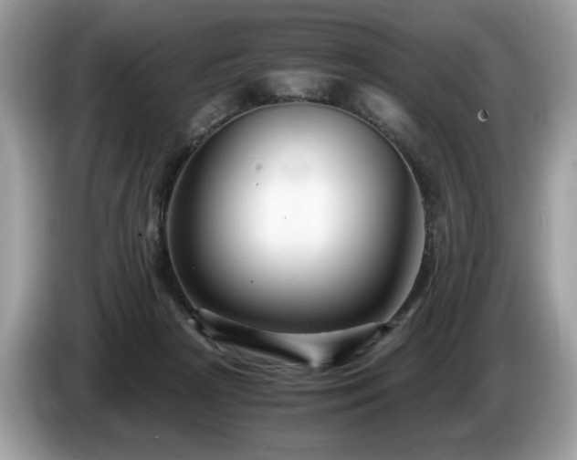 X0000087520265200704271145