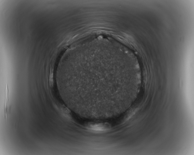 X0000087520267200704271145