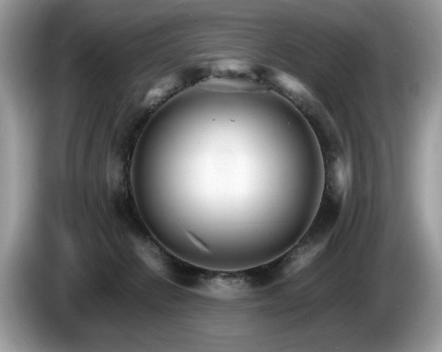 X0000087520270200704271145