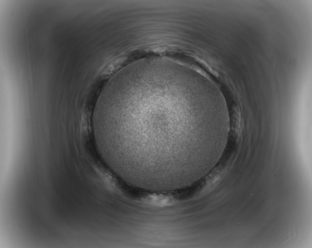 X0000087520272200704271146