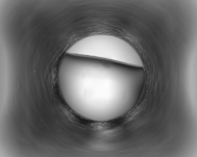 X0000087520273200704271146